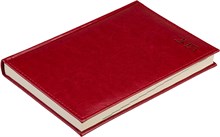 Ежедневник датированный на 2025 год А5  Rich красный